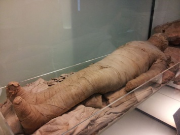Соседи нашли мумифицированное тело пенсионерки в Челнах
