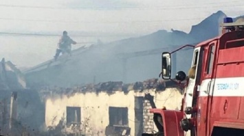 Алтайские пожарные спасли из горящей фермы коров и телят