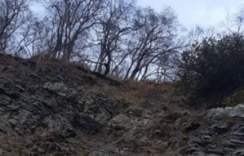 В столице Камчатки спасатели сняли застрявшего на склоне сопки подростка