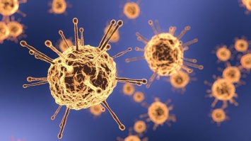 Власти Подмосковья усилят коронавирусные ограничения