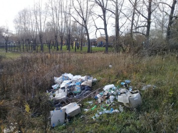 Кузбассовцы обнаружили кучу мусора недалеко от парка
