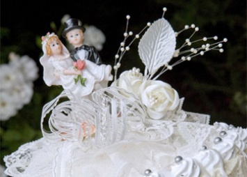В «зеркальную» дату в Приамурье поженились 19 пар