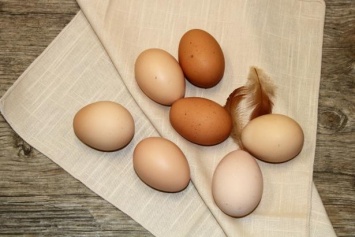 Ученые назвали продукты, не сочетающиеся с яйцами