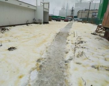 "Правда всегда вылезает наружу!" Жители Сегежи сравнили снимки с желтым и белым снегом