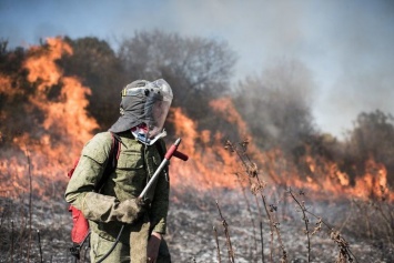 Тренинг по тушению природных пожаров