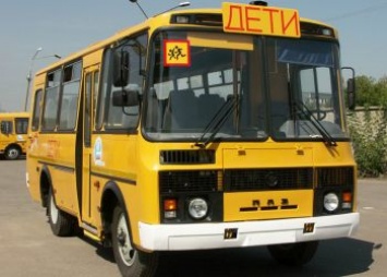 Школьные автобусы получат 13 городов и районов Амурской области
