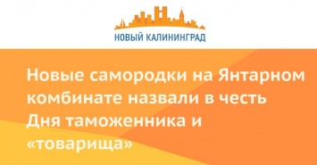 Новые самородки на Янтарном комбинате назвали в честь Дня таможенника и «товарища»