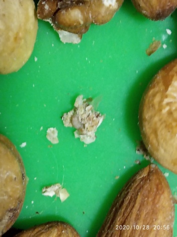 Жители кузбасского города приобрели червивые орехи