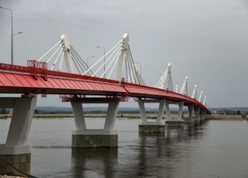 Мужчина пытался прийти в Приамурье из Китая по трансграничному мосту