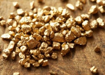 Житель Приморья попался на незаконной торговле золотом в Белогорске