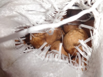 Оренбургские пограничники задержали 138 тонн подозрительных продуктов