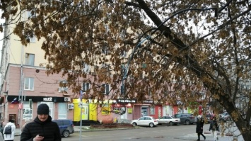 Барнаульцы жалуются на опасный электрический провод