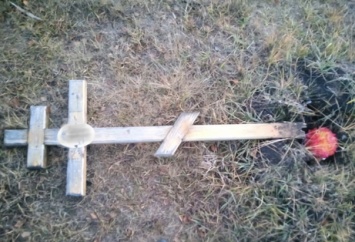 Двое школьников повалили более 40 крестов на кладбище под Омском накануне Хэллоуина
