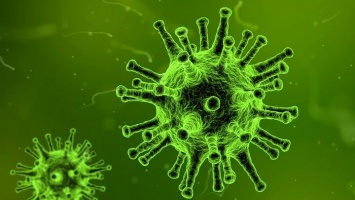 Стало известно, сколько могут сохраняться антитела к коронавирусу