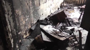 Десятки человек с питомцами едва не сгорели при пожаре в Приморье