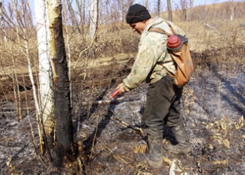В Приамурье закрыли пожароопасный сезон