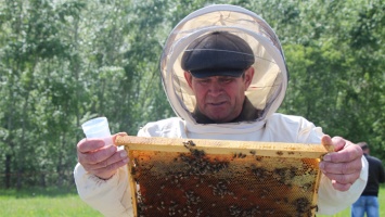 Бактерии - на защите пчел. В алтайских хозяйствах применяют биопестициды