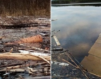 Трубы и пятна масла: приток Кеми сфотографировали после ликвидации аварии на ГЭС