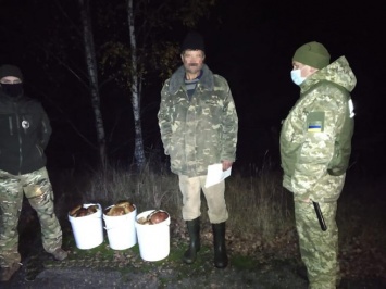 Украинские пограничники задержали в Чернобыле мужчин с 40 кг радиоактивных грибов
