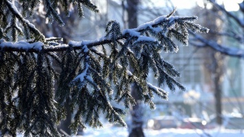 Минусовая температура надвигается на Белгородскую область
