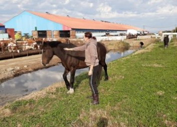 Василий Орлов: «10 молодых аграриев приехали работать в села Приамурья»