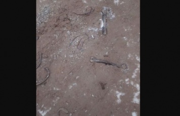Иркутские коммунальщики посыпали дорогу песком и человеческими костями