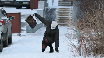 Зима пришла в Алтайский край