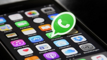 В России могут ввести штраф за мат в WhatsApp