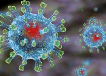 Прирост числа заболевших коронавирусом в Приамурье составил 13 %