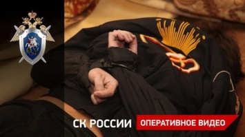 СКР показал оперативные кадры задержания похитителя ребенка во Владимирской области