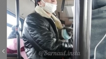 Барнаулец надел защитную маску на своего кота в общественном транспорте