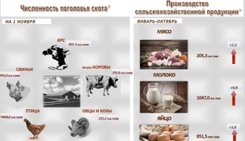 Более 851 млн яиц произведено в Алтайском крае с начала года