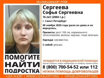 В Калужской области ищут 16-летнюю девушку из Санкт-Петербурга