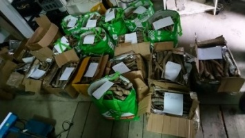 В Белгороде задержаны торговцы рогами азиатского сайгака, занесенного в Красную книгу