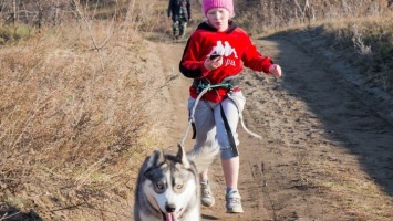 Каникросс-2020: в Барнауле подвели итоги соревнований с собаками на удаленке
