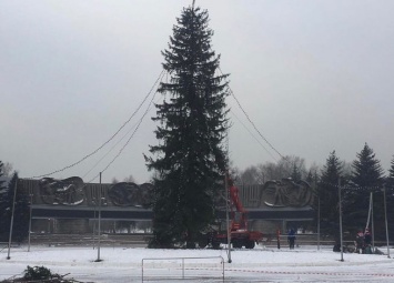 Установка новогодней ели в Новокузнецке попала на фото