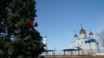Завтра в столице Камчатки начнут открывать новогодние елки