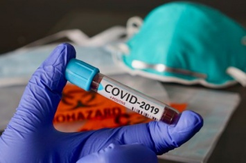 8% от всех случаев коронавируса в ДФО выявлено в Приамурье