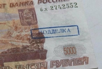 В столице Камчатки подросток получил срок за сбыт фальшивой банкноты