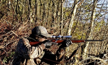 Подполковник полиции в Ленобласти по ошибке выстрелил в охотника