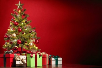 Роспотребнадзор составил перечень советов по выбору новогодней елки