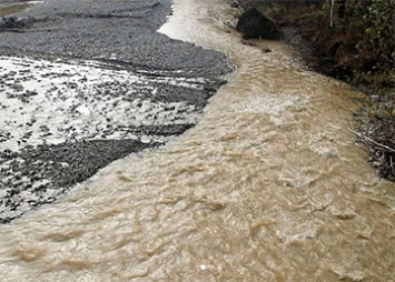 Золотодобытчики, загрязнившие реку в Приамурье, пытались избежать штрафов