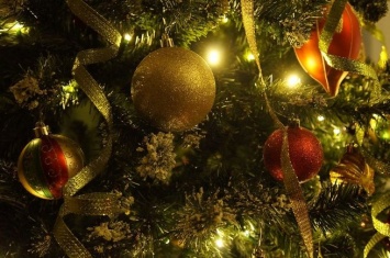 Кузбасские спасатели назвали 7 условий безопасной установки новогодней елки