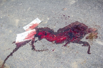 Мужчина в Кировской области убил женщину-продавца в ателье