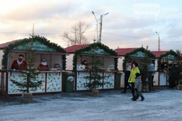 В Петрозаводске открываются елочные базары