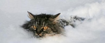 На Калужскую области надвигается снежный циклон