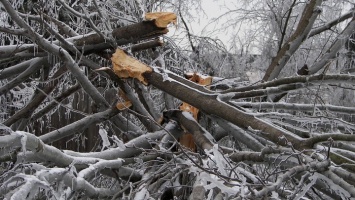 На Алтайский край обрушились снегопады и ветер до 27 м/с