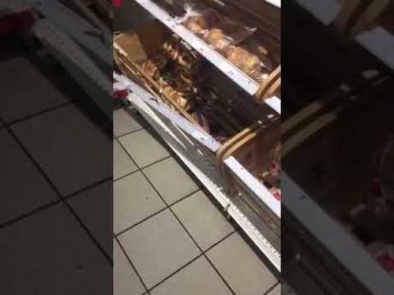 Бегающие по еде в магазине крысы возмутили кузбассовцев