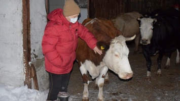 Как фермеру из Алтайского края удалось добиться успеха в пандемию