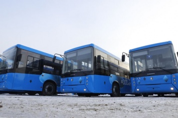 Партия новых автобусов прибыла в Кузбасс